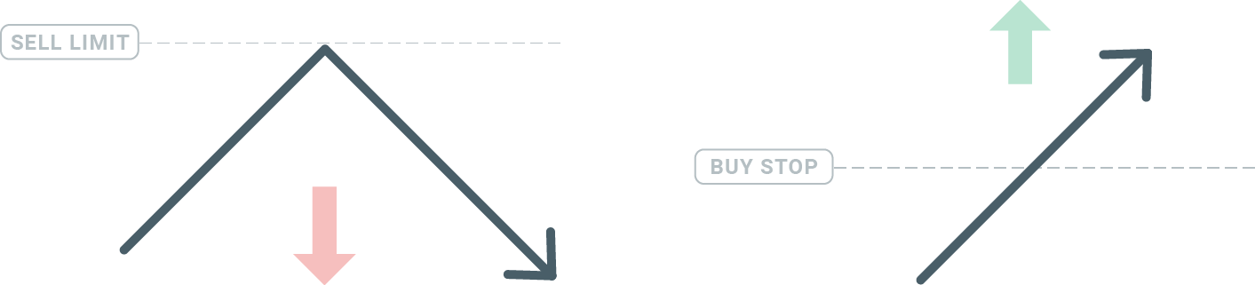 How to Trade at HotForex for Beginners How to Trade at HotForex for Beginners
