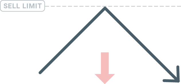 How to Trade at HotForex for Beginners How to Trade at HotForex for Beginners
