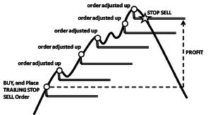 How to Trade at HotForex for Beginners How to Trade at HotForex for Beginners